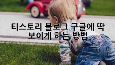 티스토리 블로그, 구글에 딱! 보이게 하는 방법