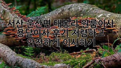 서산 운산면 태봉리 원룸이사, 용달이사 후기: 저렴하고 안전하게 이사하기!